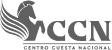 CCN logo image